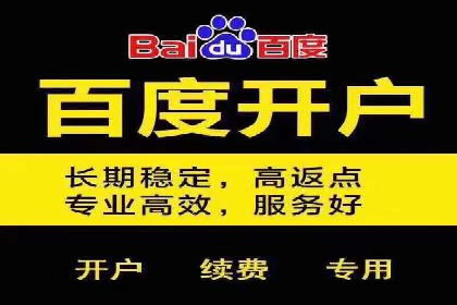 百度推广在电商行业的应用案例